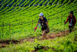 BIB: 
                            <button type="button" onclick="openModal(19161569)" class="btn btn-primary btn-sm float-right btn-popup" data-toggle="modal" data-target=".modal-high-quality">
                        <i class="fas fa-shopping-cart"></i> Add to Cart
                    </button>
                                            <button type="button" onclick="isThisMe(19161569, true)" class="btn btn-success btn-sm float-right btn-popup btn-isme hidden" data-toggle="tooltip" data-placement="bottom" title="นี่คือรูปของคุณใช่ไหม คลิกที่นี่เพื่อเอาเข้าอัลบั้ม">
                        <i class="fas fa-plus"></i> Add to album
                    </button>
                    <button type="button" onclick="isThisMe(19161569, false)" class="btn btn-warning btn-sm float-right btn-popup btn-isnotme hidden">
                        <i class="fas fa-ban"></i> Remove from album
                    </button>